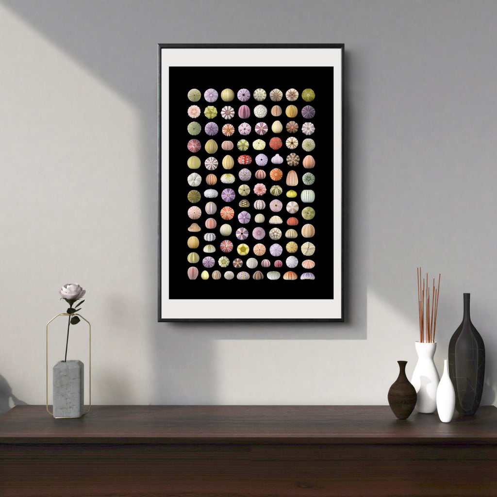 Displayed in frame (not included).