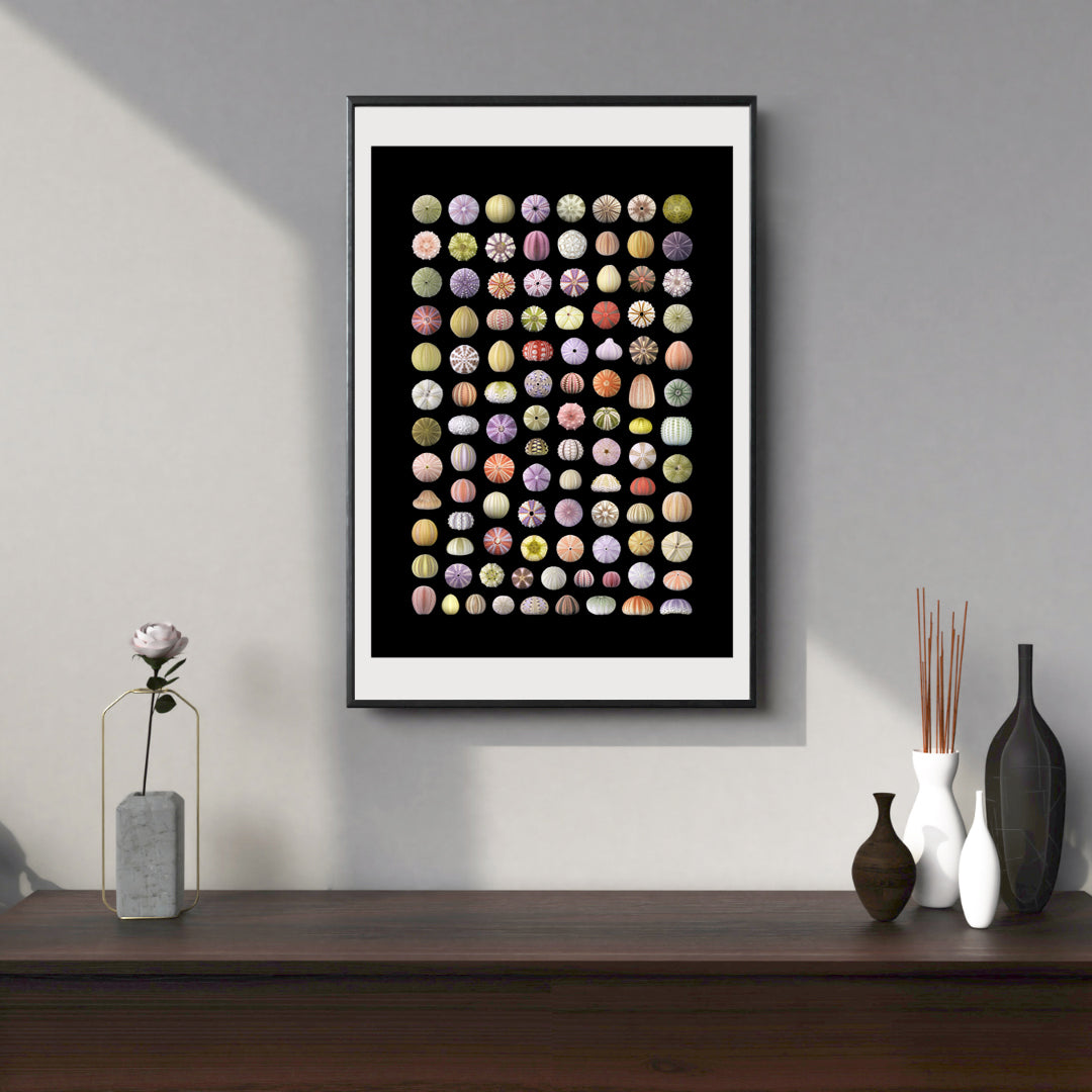 Displayed in frame (not included).
