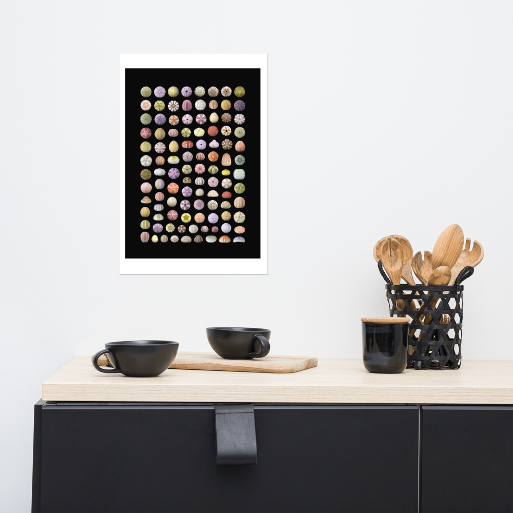 Urchin Mosaic – 12x18 in
